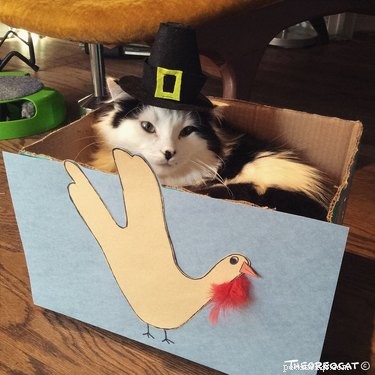 18 Pets Excited About Thanksgiving: Heartwarming Anticipation