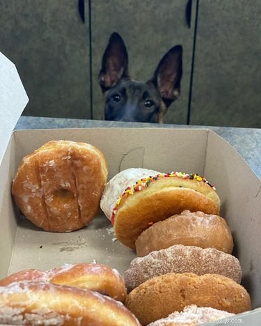 23 Food-Loving Pets Leading the Latest Trend Among Millennials