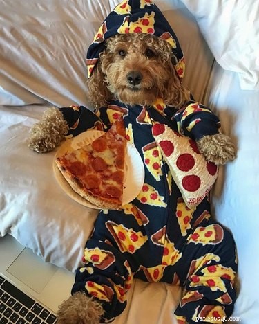 23 Food-Loving Pets Leading the Latest Trend Among Millennials