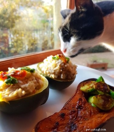 23 Food-Loving Pets Leading the Latest Trend Among Millennials