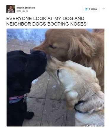 41 Animal Moments Guaranteed to Warm Your Heart