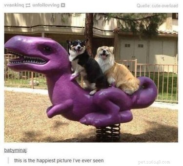 41 Animal Moments Guaranteed to Warm Your Heart
