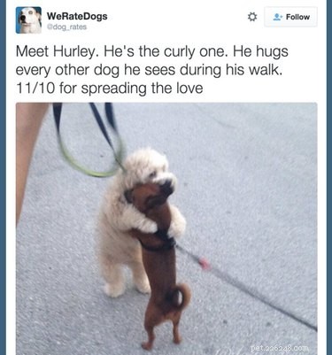 41 Animal Moments Guaranteed to Warm Your Heart