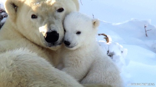 41 Animal Moments Guaranteed to Warm Your Heart
