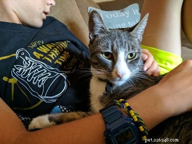 California Wildfire Pets Reunited Thanks to Dedicated Volunteer Rescue Teams