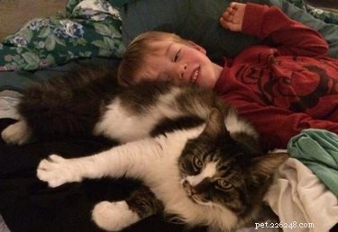 California Wildfire Pets Reunited Thanks to Dedicated Volunteer Rescue Teams