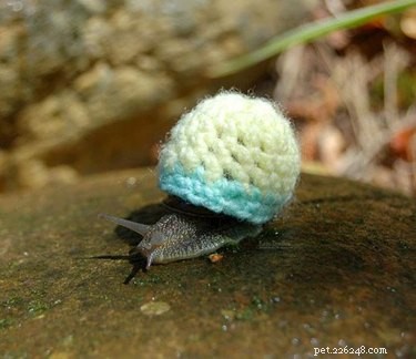 20 Charming Animals Sporting Sweaters This Fall