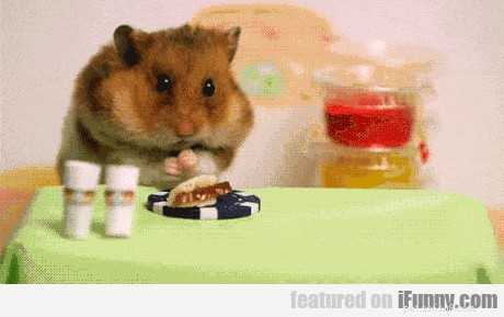 20 Essential Tips for Hosting a Dinner Party with Animal Guests