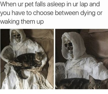 21 Relatable Moments Every Pet Owner Will Recognize