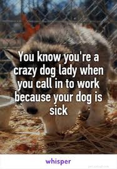 21 Relatable Moments Every Pet Owner Will Recognize