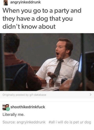 21 Relatable Moments Every Pet Owner Will Recognize