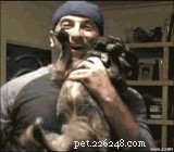 21 Relatable Moments Every Pet Owner Will Recognize