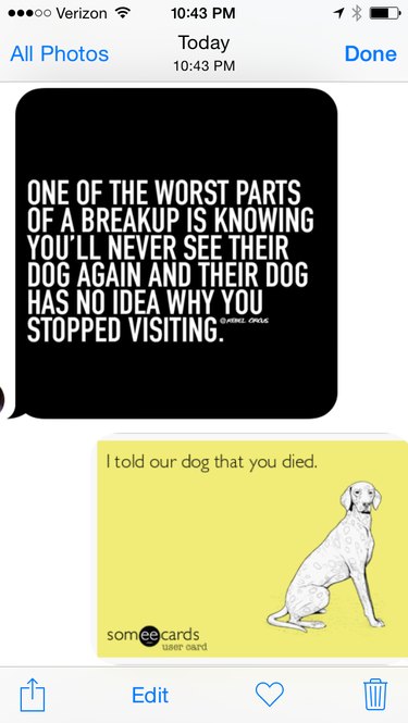 21 Relatable Moments Every Pet Owner Will Recognize