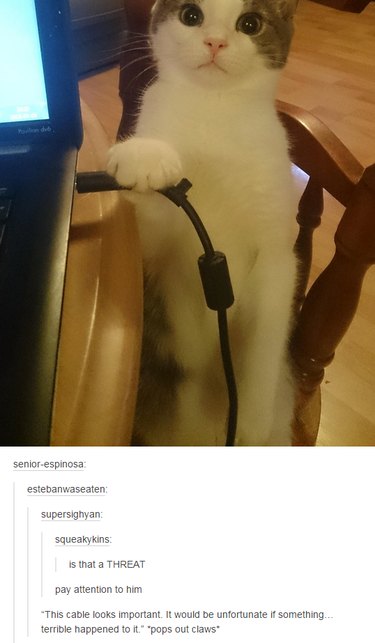 21 Relatable Moments Every Pet Owner Will Recognize