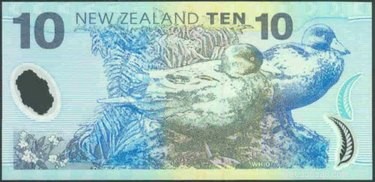 Auckland Zoo Welcomes Endangered Blue Ducklings, Spotlighting Conservation Efforts
