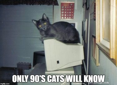 19 Iconic 90s Pets You Can t Miss
