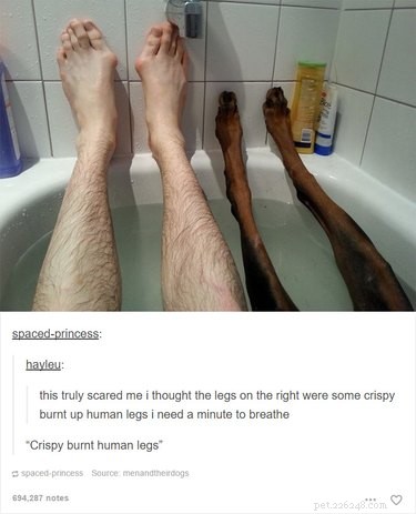 55 Hilarious Animal Tumblr Posts Guaranteed to Make You Laugh