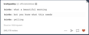 55 Hilarious Animal Tumblr Posts Guaranteed to Make You Laugh