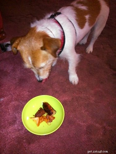 26 Breakfast-Loving Pets That Will Make You Crave a Hearty Start