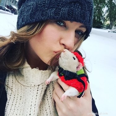 15 Heartwarming Rat Moments That Will Melt Your Heart