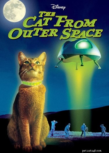18 Pets Claim Alien Encounters: Investigating the Evidence