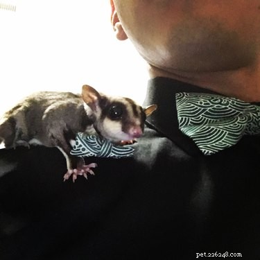 22 Pet Owners Who Match Outfits With Their Furry Friends