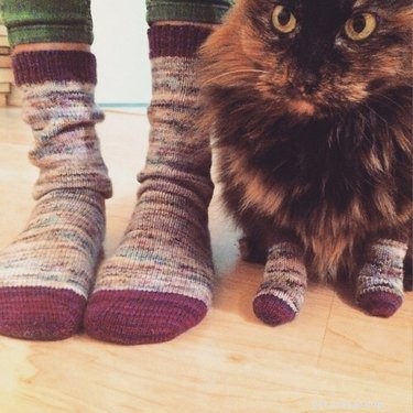 22 Pet Owners Who Match Outfits With Their Furry Friends