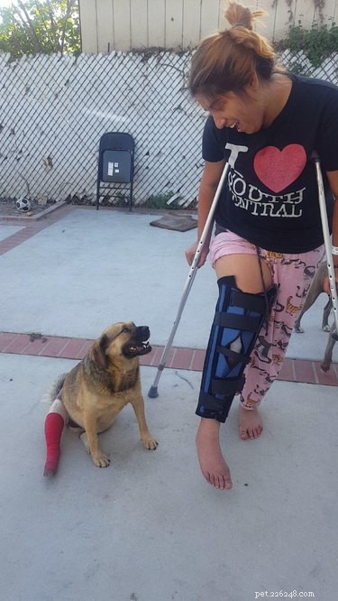 22 Pet Owners Who Match Outfits With Their Furry Friends