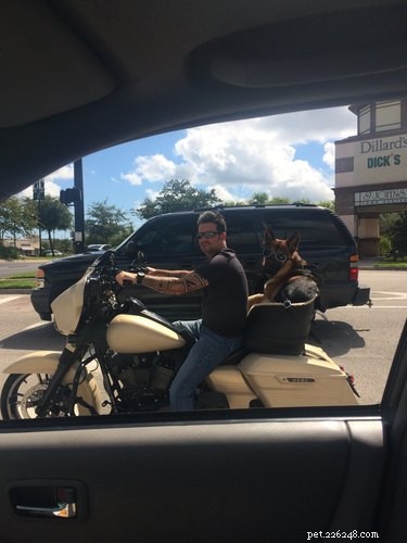 22 Pet Owners Who Match Outfits With Their Furry Friends