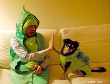 22 Pet Owners Who Match Outfits With Their Furry Friends