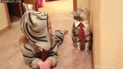 22 Pet Owners Who Match Outfits With Their Furry Friends