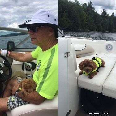 22 Pet Owners Who Match Outfits With Their Furry Friends