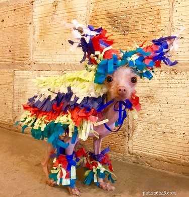 15 Of The Most Adorable Animals You ll Ever Encounter