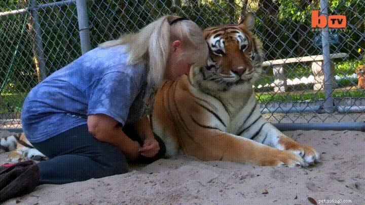 45 Wild Creatures That Behave Like Pets: Size Misconceptions Exposed