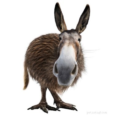 28 Fascinating Photoshopped Hybrid Animals We d Love to See in Reality