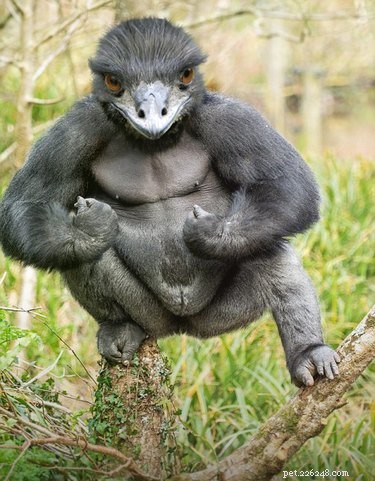 28 Fascinating Photoshopped Hybrid Animals We d Love to See in Reality