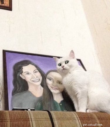 17 Signs Your Pet Shows When They Care About Your Life
