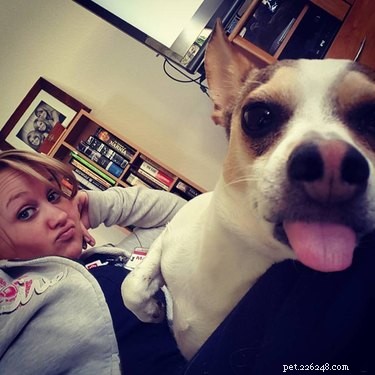 22 Pets That Make Life Better