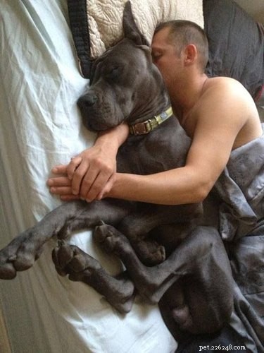 22 Pets That Make Life Better
