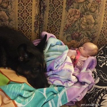 22 Pets That Make Life Better