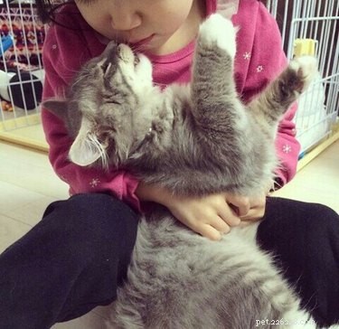 22 Pets That Make Life Better
