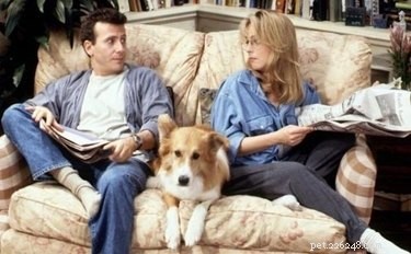 Find Out Which Classic TV Pet Matches Your Zodiac Sign