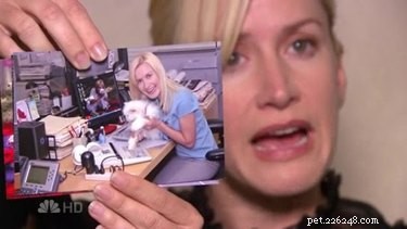 Find Out Which Classic TV Pet Matches Your Zodiac Sign