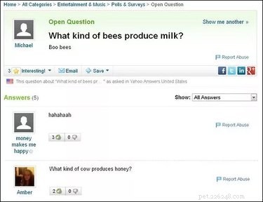 19 Surprisingly Confusing Pet Questions That Will Leave You Stumped