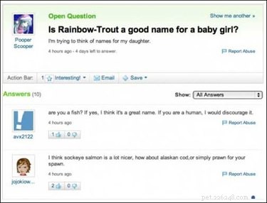 19 Surprisingly Confusing Pet Questions That Will Leave You Stumped