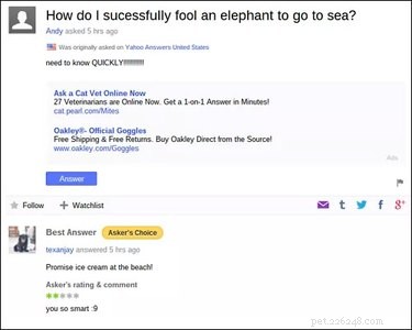 19 Surprisingly Confusing Pet Questions That Will Leave You Stumped