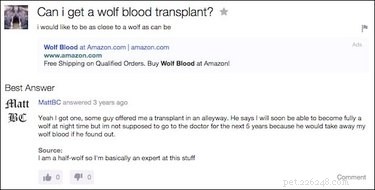 19 Surprisingly Confusing Pet Questions That Will Leave You Stumped