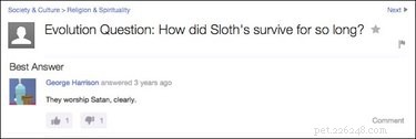 19 Surprisingly Confusing Pet Questions That Will Leave You Stumped