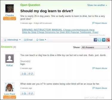 19 Surprisingly Confusing Pet Questions That Will Leave You Stumped