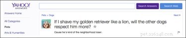 19 Surprisingly Confusing Pet Questions That Will Leave You Stumped